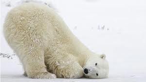 ohh ...just come and feel my soft, mushy, pretty and cold little tushy!