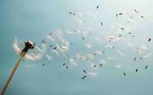 “La primera misión del filósofo es despojarse de todo engreímiento. Pues es imposible que un hombre aprenda lo que cree que ya sabe.”  ―Epicteto 